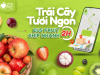 Trái Cây Nhập Khẩu Quận 1 