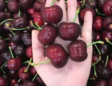 Cherry Mỹ ngọt, dòn 