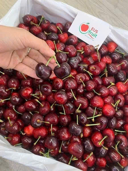 Cherry