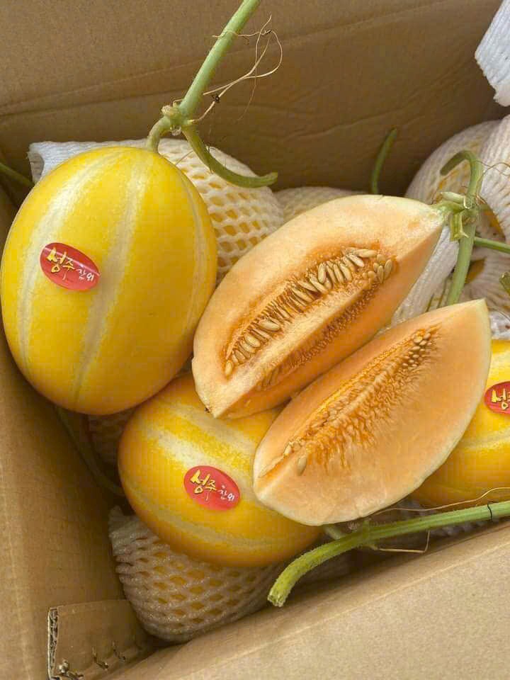 Dưa lê Hàn Quốc