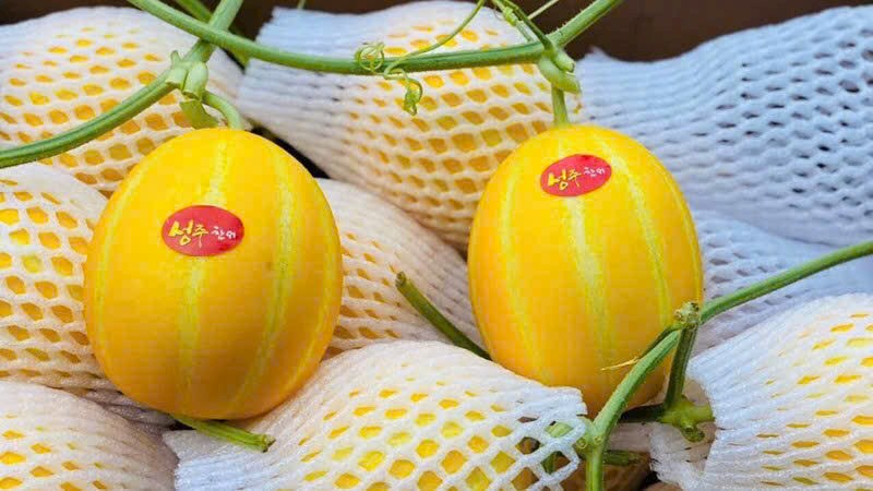 Dưa lê Hàn Quốc