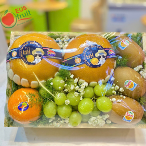 Khay quà mẫu 1