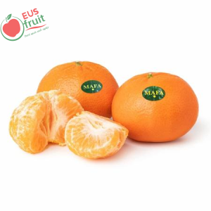 Cam Ai Cập 