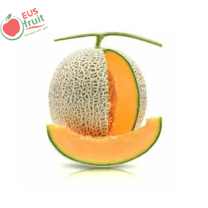 Dưa Lưới Việt 