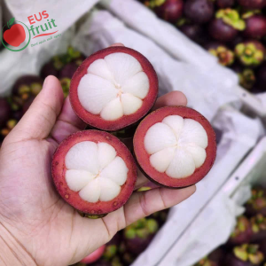 Măng cụt