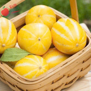 Dưa Lê Hàn Quốc