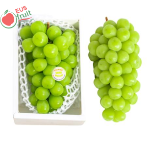 Nho mẫu đơn Hàn 