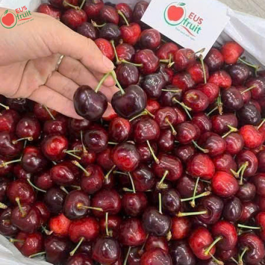 Cherry Mỹ ngọt, dòn 