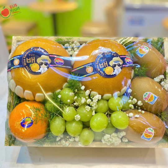 Khay quà mẫu 1