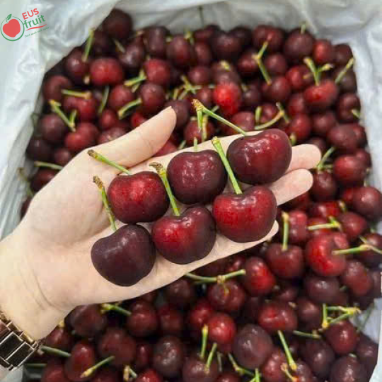 Cherry Mỹ ngọt, dòn 