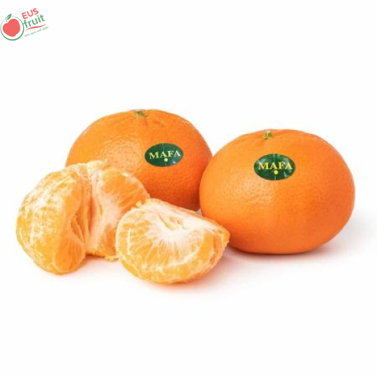 Cam Ai Cập 