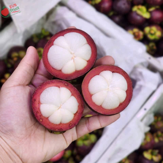 Măng cụt
